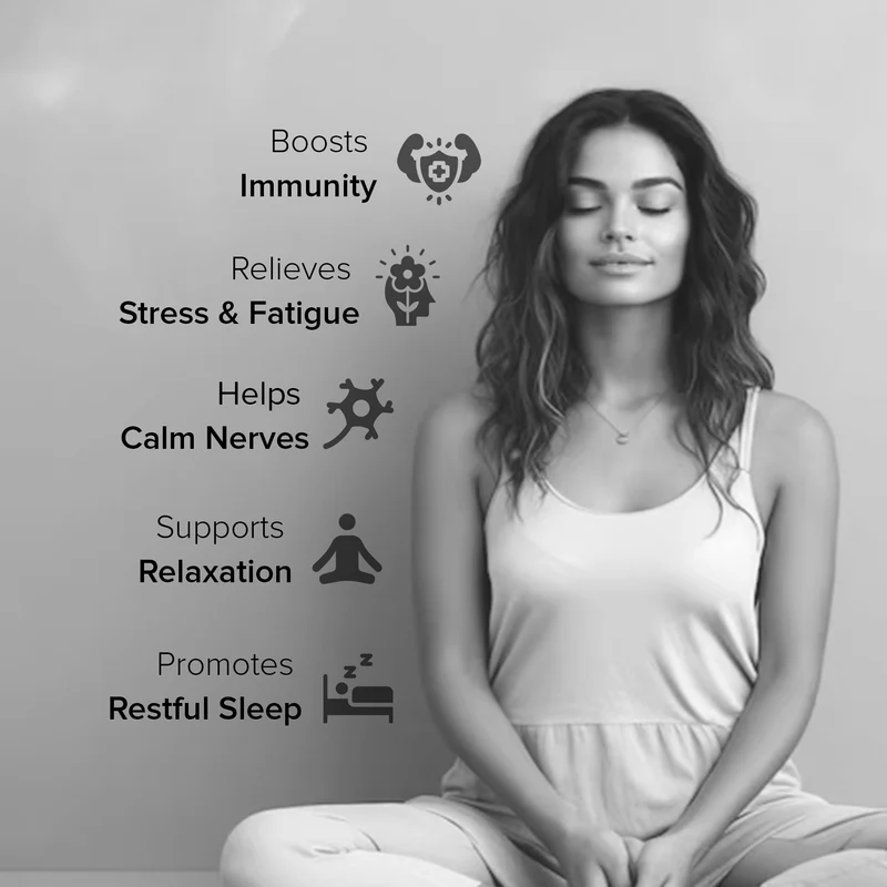 ZMA-LISTING-IMAGESArtboard-39